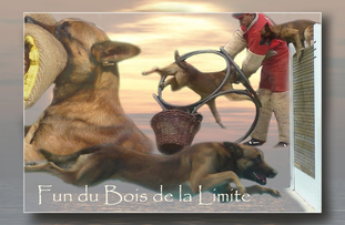 Fun du Bois de la Limite Fun du Bois de la Limite
