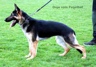 Onja vom Fegelhof