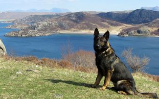 Brutus vom dunklen Kerker Brutus vom dunklen Kerker