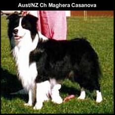 Maghera Casanova Maghera Casanova