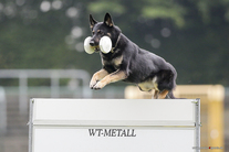 Kona vom Eichenluft