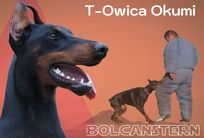 T-Owica Okumi von Bolcanstern