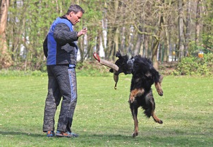 Franco vom Bergischen Löwen Franco vom Bergischen Löwen