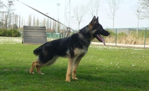 Mika Von Haus Valke