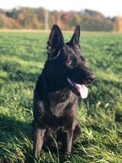 Nina vom schönen Blick Nina vom schönen Blick