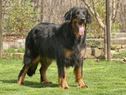 Djamila Aldeon