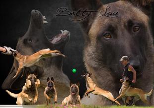 Betty Lou vom Streitwald Betty Lou vom Streitwald