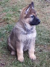 Otti von MaKeRa Otti von MaKeRa