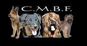 CMBF World Cup of French Shepherds