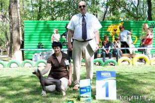 Olegro Katrin Carte Blanche Olegro Katrin Carte Blanche