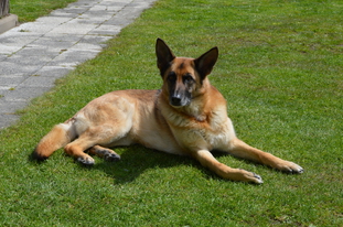 Yamira von der Wernburg Yamira von der Wernburg