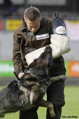 Bandit vom Isarland Bandit vom Isarland