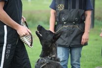 Isaie des Soldats de Krist Ale