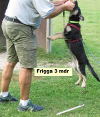 Leinbo's Frigga Leinbo's Frigga