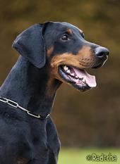 Floyd von Utgard Floyd von Utgard