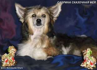 Sabrina Skazochnaja Feja Sabrina Skazochnaja Feja