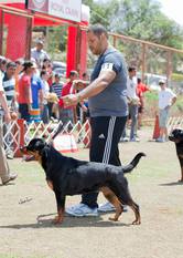 Kiara Valente Black Champion Kiara Valente Black Champion