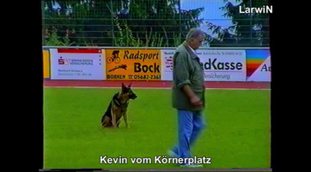 Kevin vom Körnerplatz Kevin vom Körnerplatz