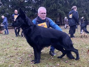 Dax vom Vogelsberger Südhang Dax vom Vogelsberger Südhang