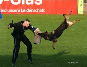 Orris von Adschanta Orris von Adschanta