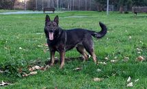 Eva do Narla