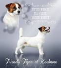 Frienddly Flynn at Koolmove