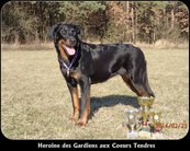Heroine des Gardiens aux Coeurs Tendres