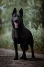 Black Neresnicka dolina