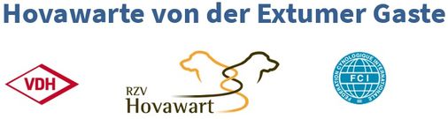 von der Extumer Gaste