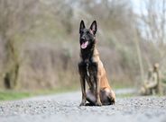 Bailee vom kleinen Gewitter