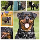 Deica von der Otterburg