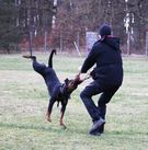 Jette vom Amtsbach