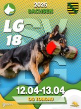 SV LG-FCI  (LG 18) 2025 - FCI-IGP 3