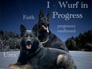 Faith von Cathabrunium