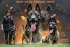 Vulcan von den brennenden Herzen