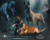 Duch Fort-Vortex