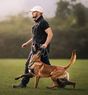 Capone Running Wild