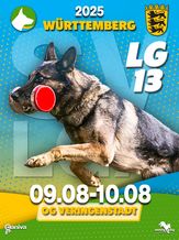 SV LGA (LG13) 2025 - FCI-IGP 3