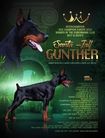 Santa Julf Gunther
