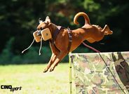 Kappa European K9 training base