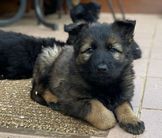 Korea/Aslan 13.03.2024