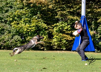 Xmolly vom Wolfsdreieck