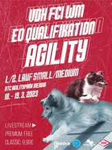 VDH  WM Qualifikation Agility