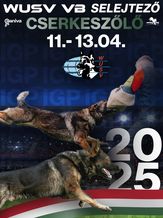 MEOESZ-HNJE und MNJK WUSV Qualifikation WUSV VB Selejtező 2025 - FCI - IGP 3