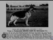 Veus vom Fiemereck