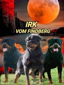 Irk vom Findberg