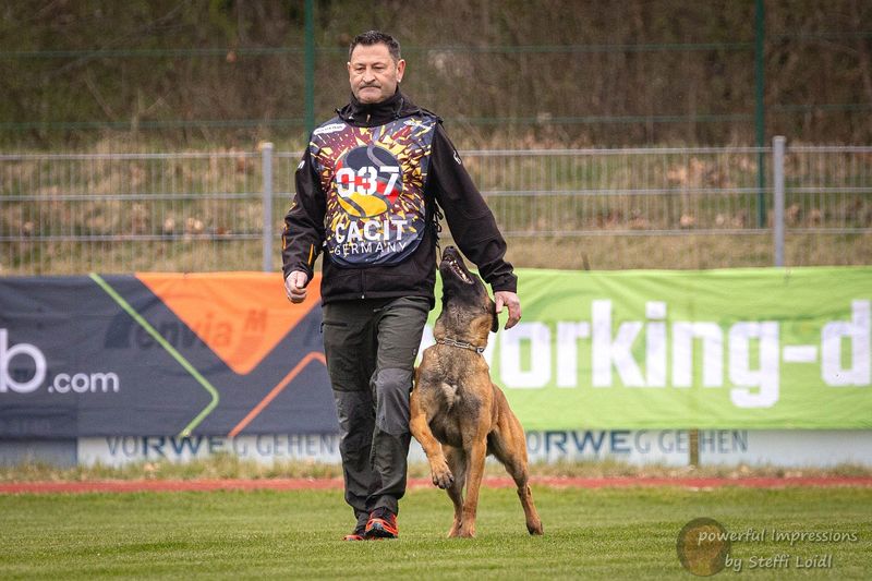 Vito vom Holzhäuser Flur Hundeprofil Informationen und Daten