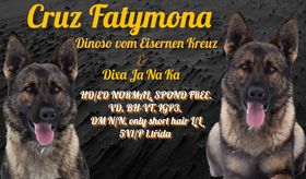 Cruz Fatymona
Schäfer (korthåret)
11. Juli 2018