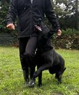 Jacky von Tajö