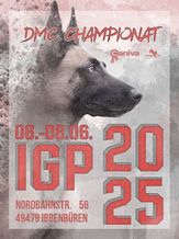 2025 DMC Championat IGP/ Jugendchampionat IGP 2025 - FCI-IGP 3